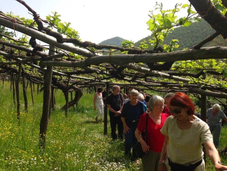From Salerno: Amalfi Coast Tour and Wine Tasting with Lunch