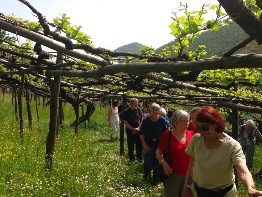 From Salerno: Amalfi Coast Tour and Wine Tasting with Lunch - Good To Know