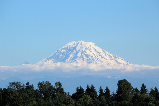 From Seattle:Hiking in Mount Rainier Private Tour - A Detailed Look at the Mount Rainier Private Hiking Tour