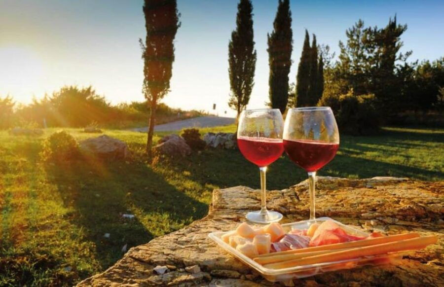 From Siena: San Gimignano, Chianti, and Montalcino Day Trip - Who Is This Tour Best For?  