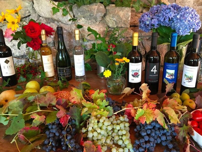 From Sorrento: Amalfi Coast Tour and Wine Tasting with Lunch