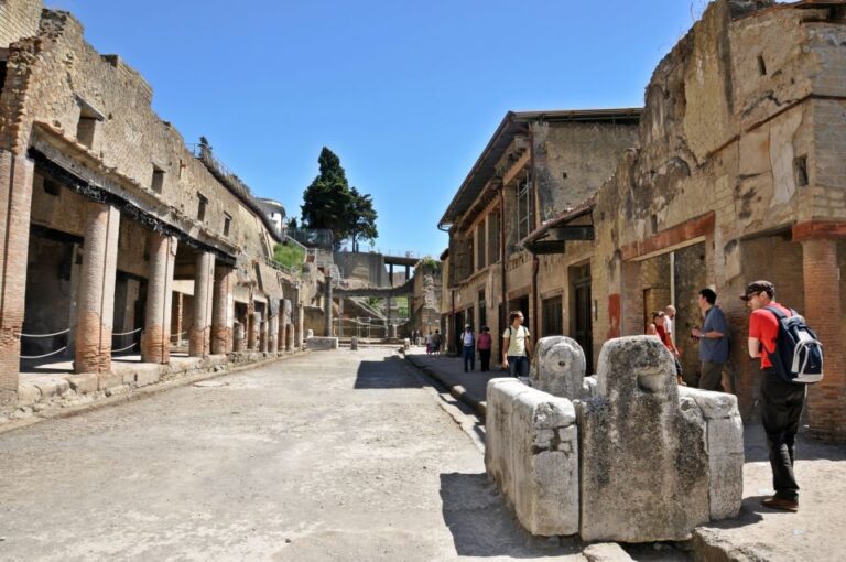 From Sorrento: Herculaneum Guided Tour with easy Lunch