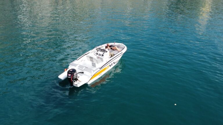 From Sorrento: Island and Capri Boat Tour