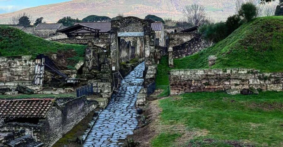 From Sorrento: Pompeii and Vesuvius Skip-the-Line Tour - Exploring the Itinerary in Detail