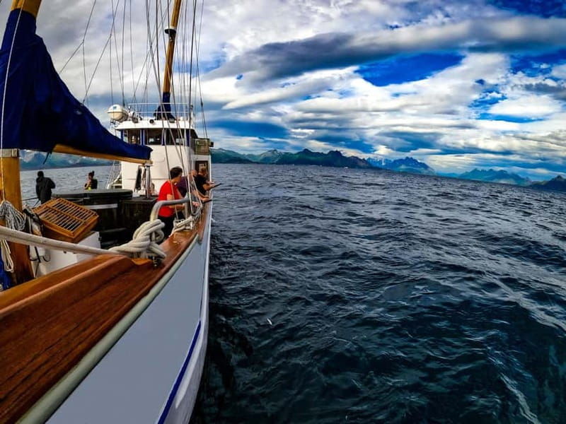 From Svolvær: Taste of Lofoten - Cultural Fishing Experience - An In-Depth Look at the Experience