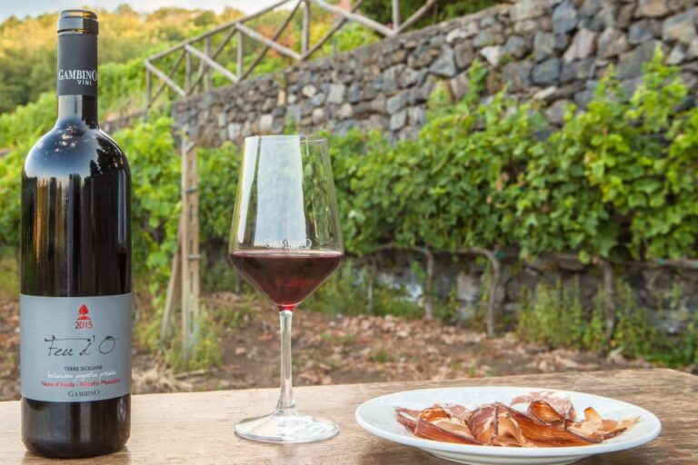 From Taormina: Private 3 Etna Wineries with Food & Wine