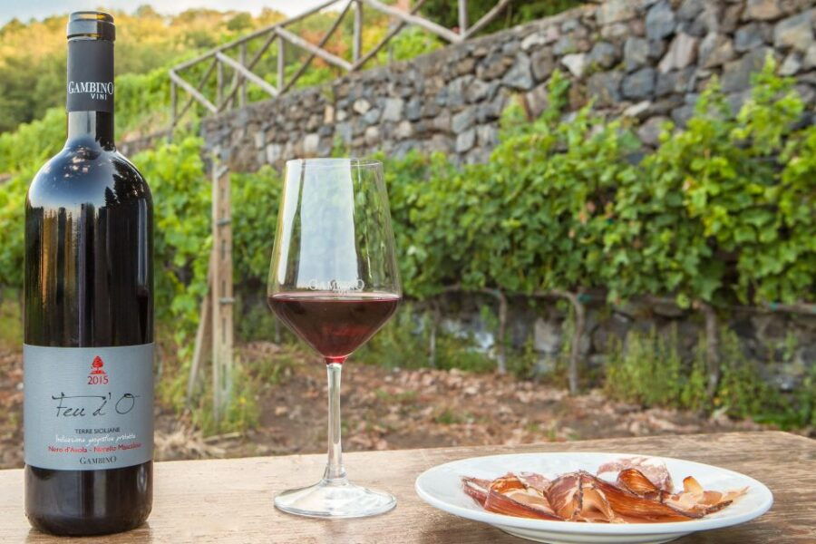 From Taormina: Private 3 Etna Wineries with Food & Wine - Good To Know