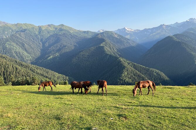 From Tbilisi: Svaneti 4 Days Private tour (Mestia, Ushguli)