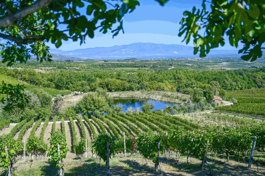 From Thessaloniki: Pella-Edessa-Naousa wine tasting - A Deep Dive Into an Enchanting Day