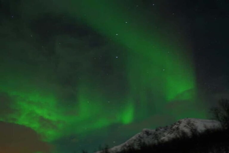 From Tromsø: Aurora Bus Tour with Snacks, Photos, and Drinks