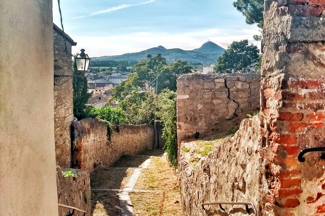 From Venice, Tour to the Walled Town Of Monselice - Analyzing the Value