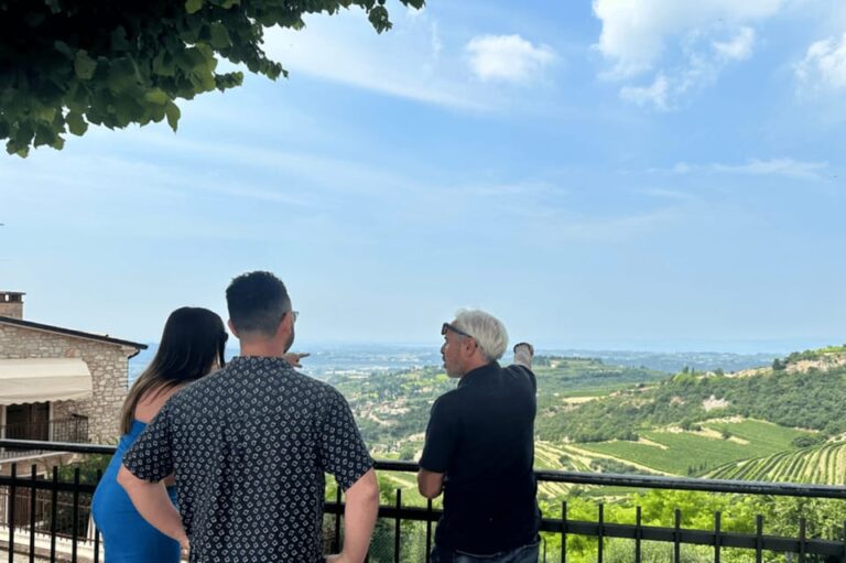 From Verona: tour of Lake Garda, Bardolino and Valpolicella!
