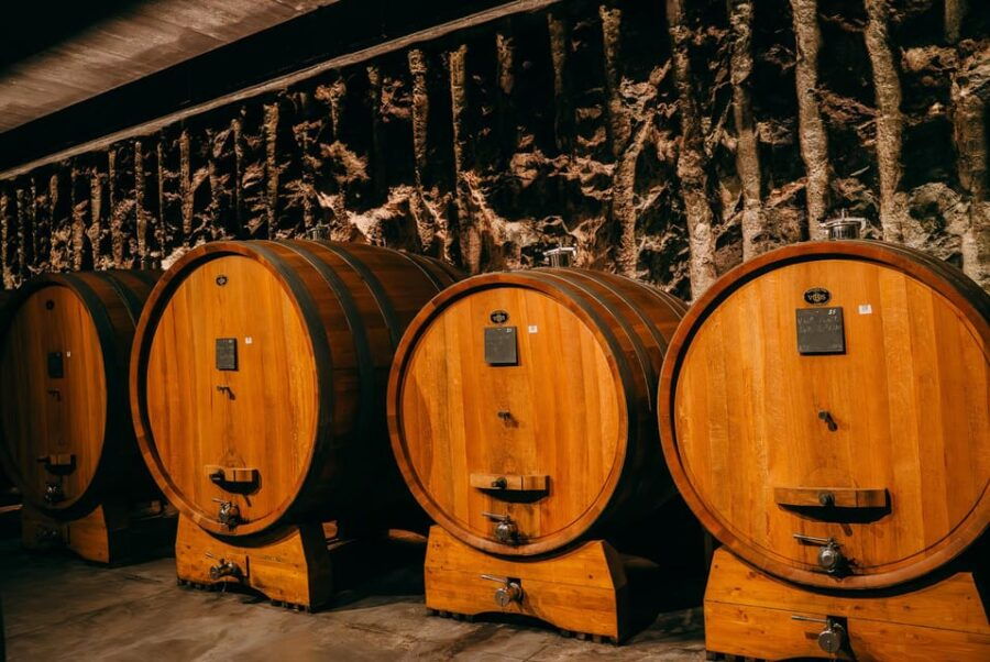 From Verona: Valpolicella and Amarone Wine Tasting Tour - An In-Depth Look at the Tour