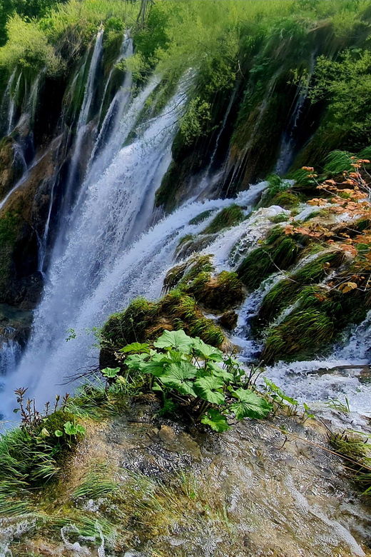 From Zadar: Plitvice Lakes Day Trip with Guide and Boat Tour - The Journey Begins: From Zadar to Plitvice Lakes