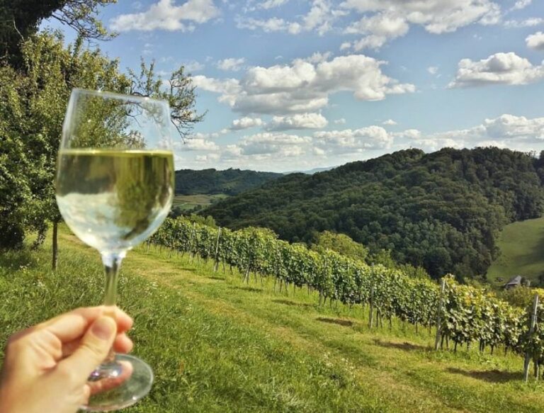 From Zagreb: Fairytale Castle & Wine Tasting & Lunch