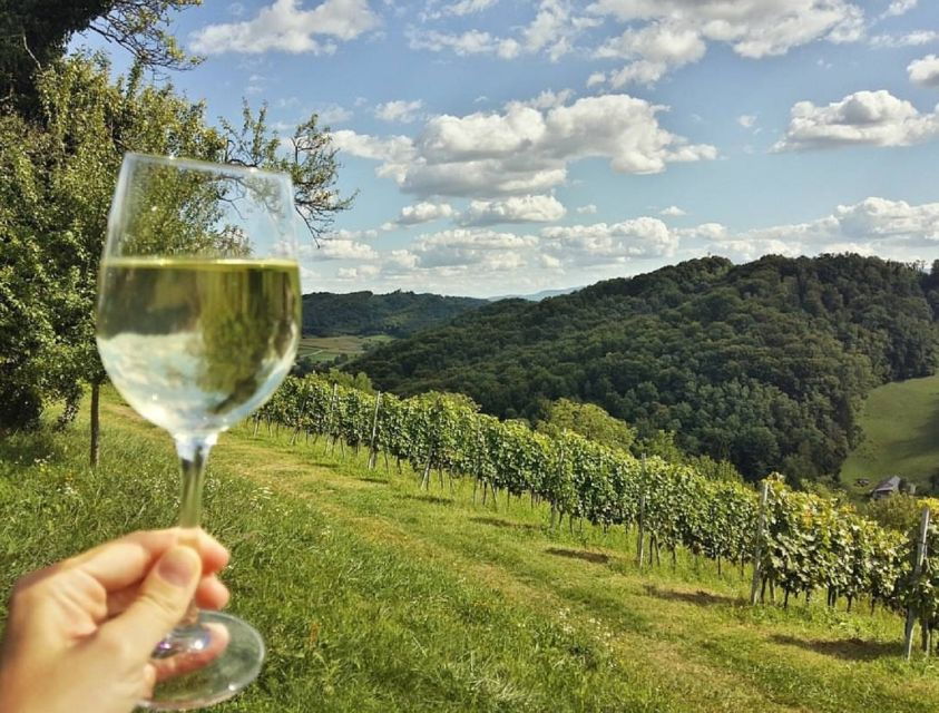 From Zagreb: Fairytale Castle & Wine Tasting & Lunch - Wine Tasting in the Hills of Zagorje