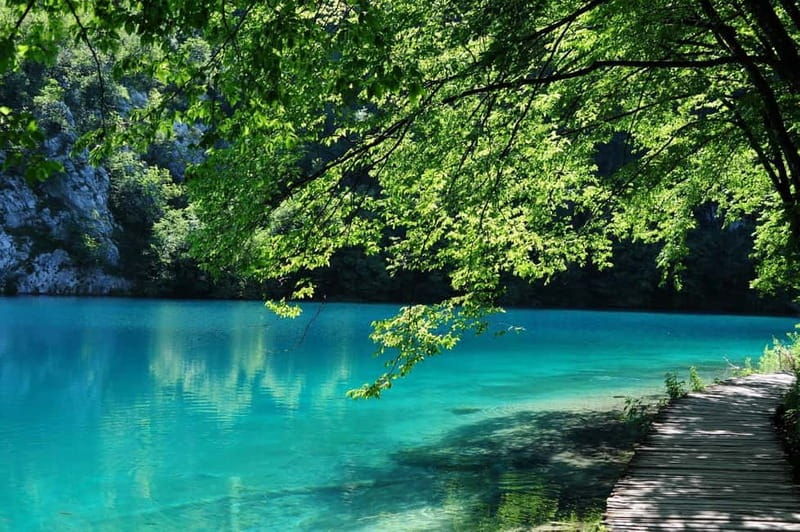 From Zagreb or Split: Plitvice Lakes Private Tour - The Experience: An In-Depth Look at the Tour