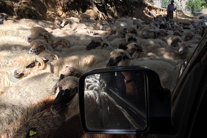 Full Day 4×4 Tour in the Eastern Carpathians
