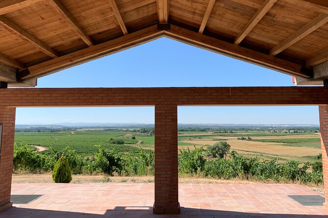 Full day at the winery, visit, tasting, aperitif and lunch