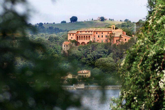 Full day experience | Tasting & art among the Orvieto vineyards - Good To Know