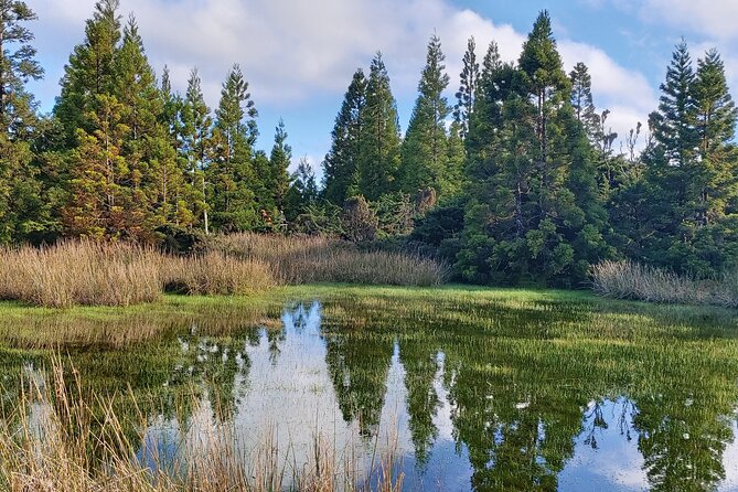 Full Day Lagoons and Volcanoes Tour in Terceira Island - An Overview of the Full-Day Adventure