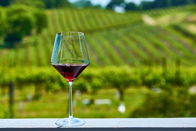 Full-Day Private Amador County Wine Tour from San Francisco