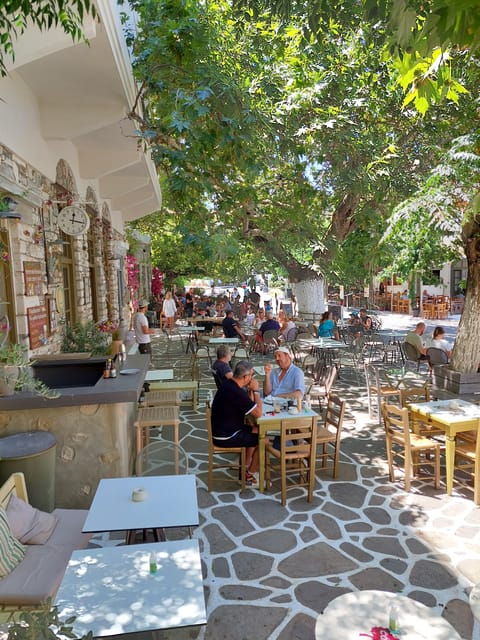 Full-Day Private food tour in Naxos local Villages