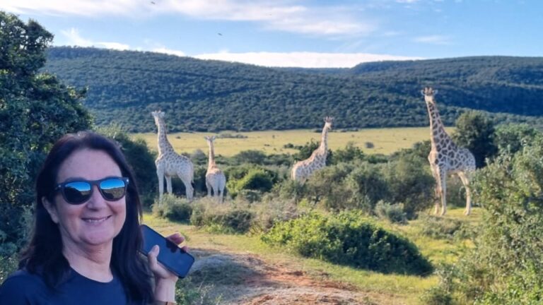 Full-Day Schotia Game Reserve & Giraffe Walk (Open 4×4)