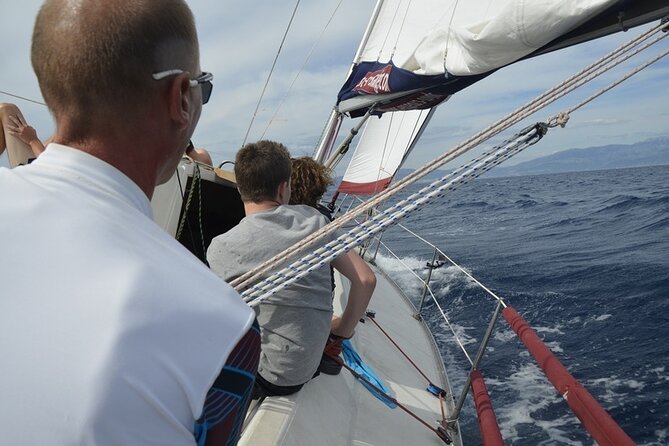 Full-Day Small-Group Dalmatian Coast Sailing Cruise from Split - Why Choose This Sailing Cruise?