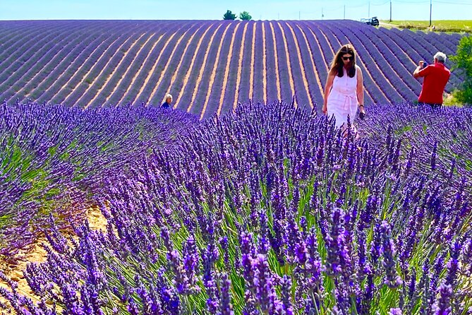Full Day Tour in the Lavenders of Valensole or Sault - An In-Depth Look at the Tour Itinerary