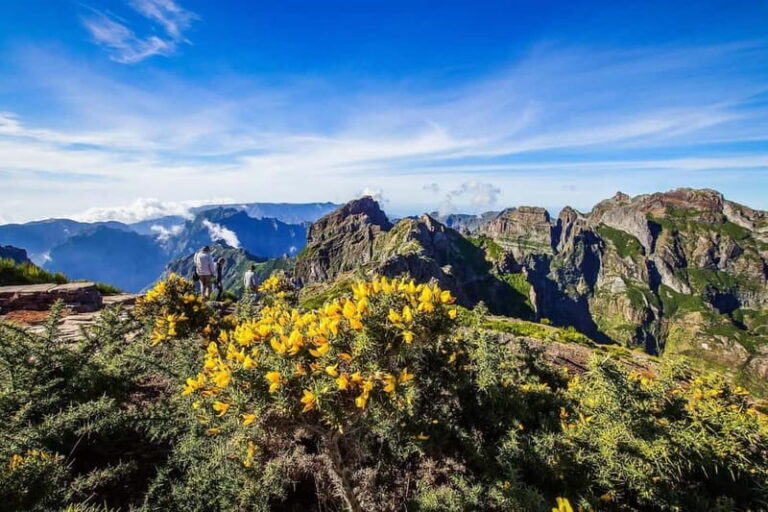 Funchal: 4×4 Jeep Trip to the East and Northeast of Madeira