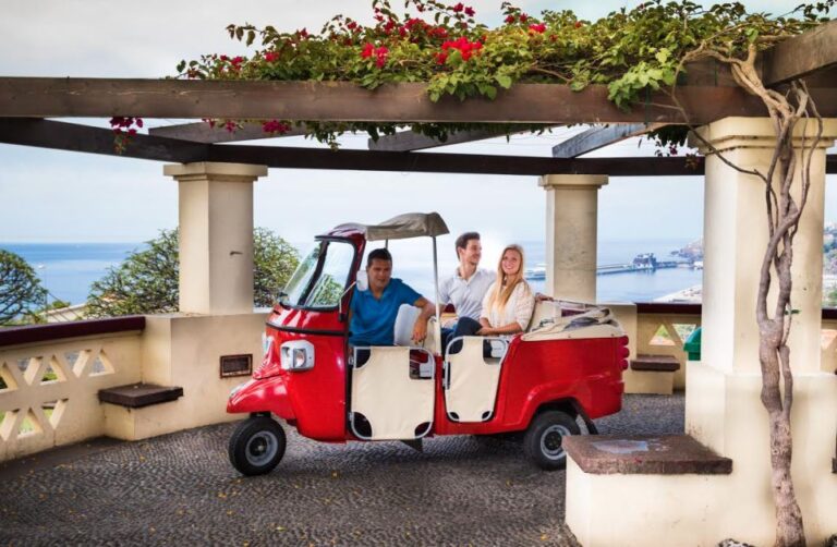 Funchal: Best Viewpoints Guided Tuk Tuk Tour