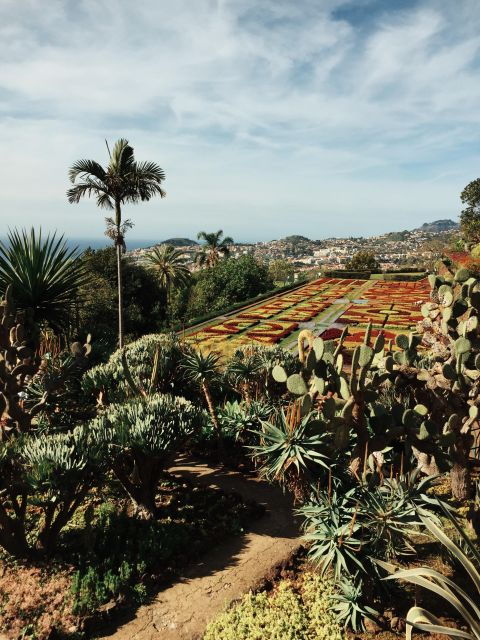 Funchal: Guided Old Town Tuk Tuk Tour and Botanical Gardens