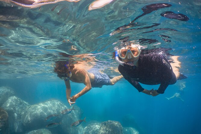 Funchal: Snorkeling Adventure in Eco-Park / Shore or by Boat - Good To Know