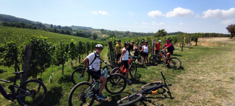 Gavi: E-Bike Tour with Wine Tasting