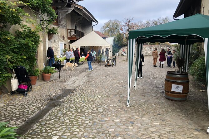 Geneva Countryside By E-Bike With Wine Tasting - An In-Depth Look at the Tour