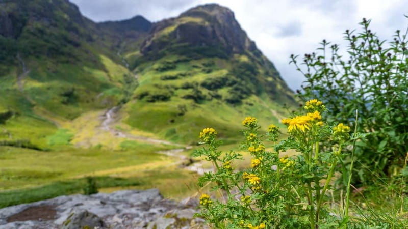 Glasgow: Mountains, Glens & The Loch Ness Monster Day Tour - An In-Depth Look at the Tour Experience
