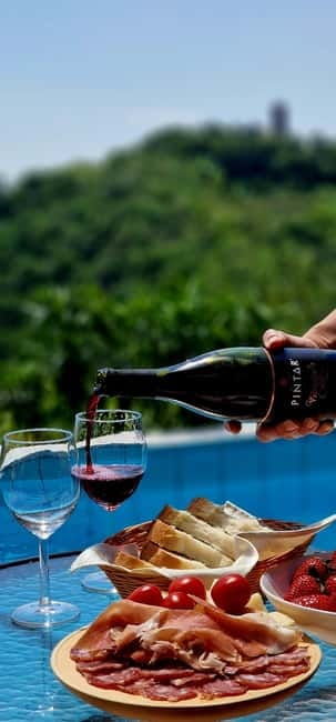 Gorika Brda: Wine Tasting with Local Snacks - An In-Depth Look at the Gorika Brda Experience