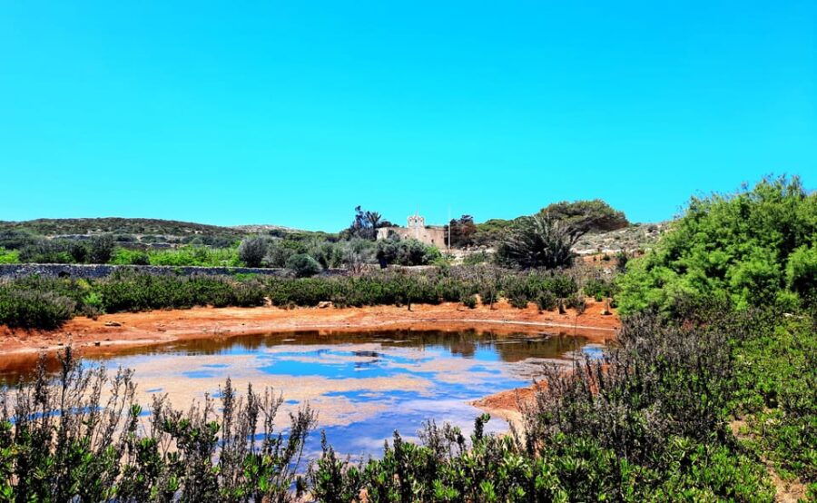 Gozo Unveiled: Guided Hiking in Comino Island - An Introduction to the Comino Hike Experience