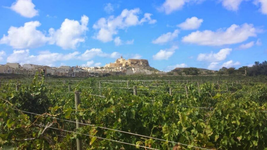 Gozo Victoria Walking Tour - A Deep Dive Into the Gozo Victoria Walking Tour