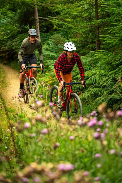 Gravel Bike Ride Dublin - The Route and Trail Experience