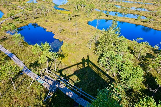 Great emeri Bog and Swamp Forest Hiking Adventure
