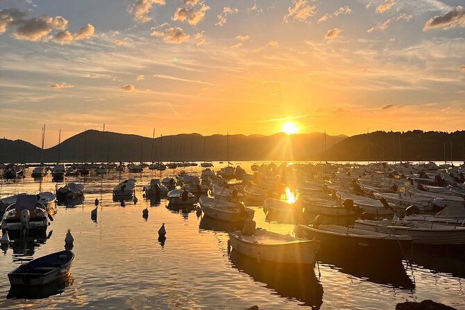 Guided Boat Tour of the Gulf of Poets - What to Expect from the Tour Itself