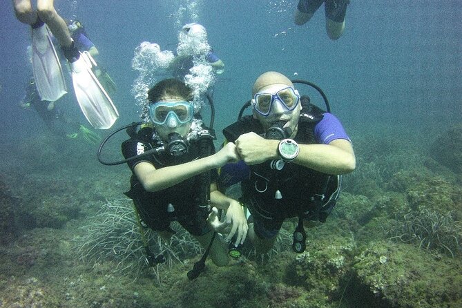 Guided dive for certified divers - What Makes This Dive Special?