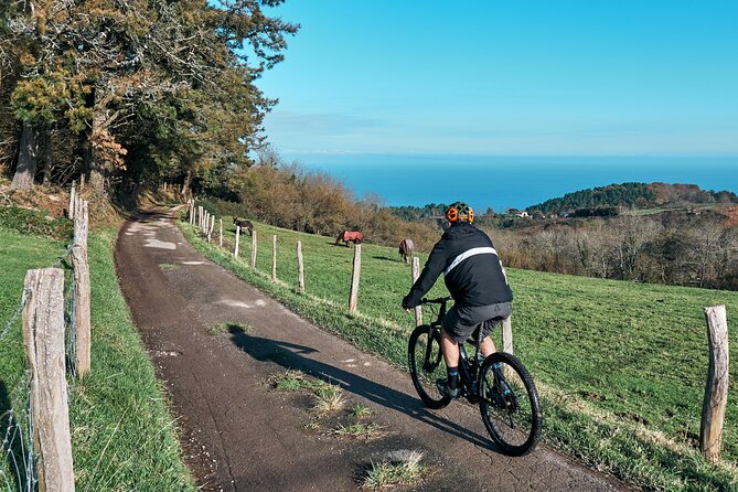 Guided Electric Mountain Bike Tour in Gipuzkoa
