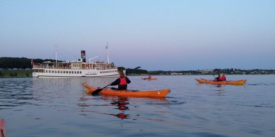 Guided kayaking on Roskilde Fjord: Sunday afternoon - A Detailed Look at the Roskilde Fjord Kayaking Tour