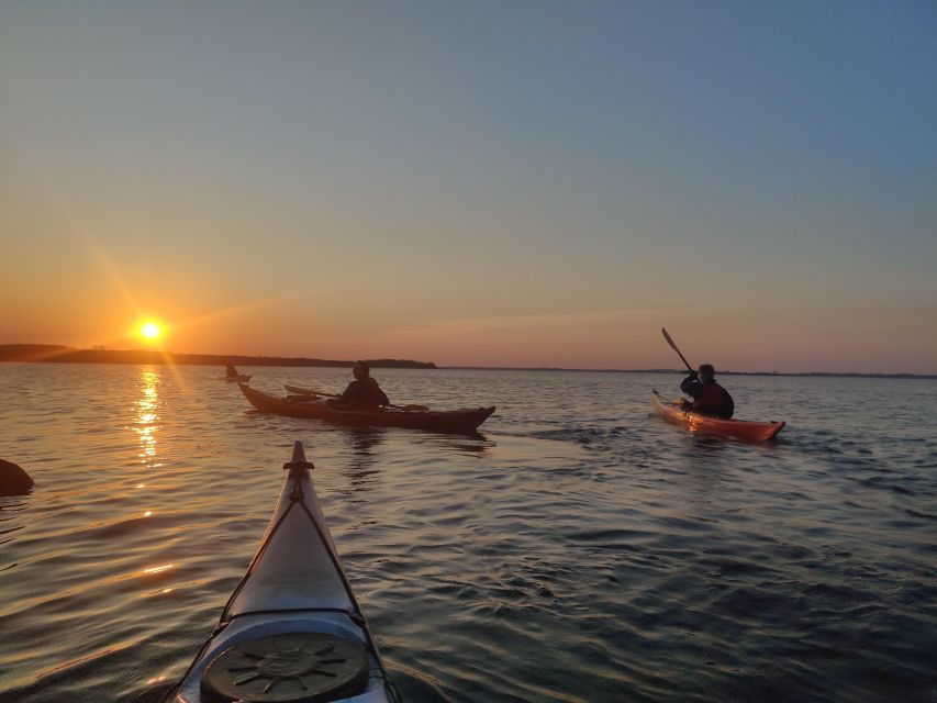 Guided kayaking on Roskilde Fjord: Sunset tour - What You Can Expect from the Guided Sunset Kayaking Tour