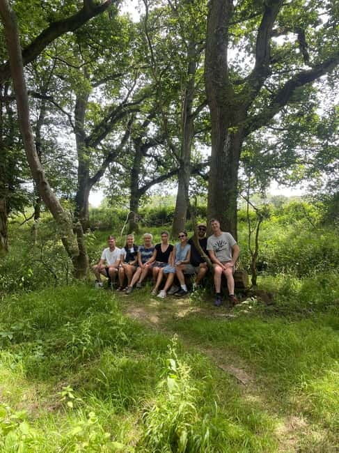 Guided Nature Tour: Pilgrims Way & Bigbury Fort