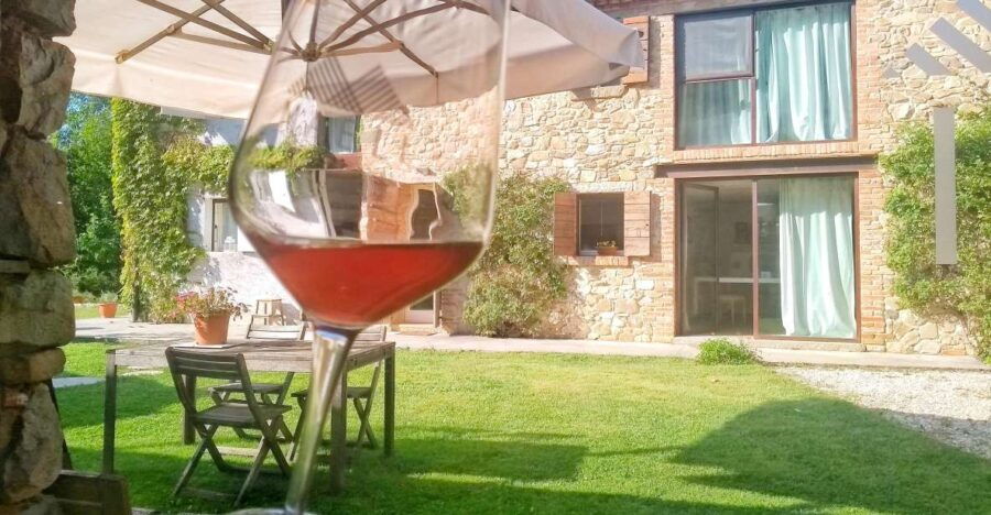 Guided Olive Oil & Wine Tour From Padua - The Itinerary: What to Expect on This Journey