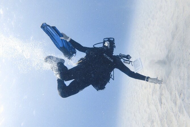 Guided Shore Dive or Refresher Dive